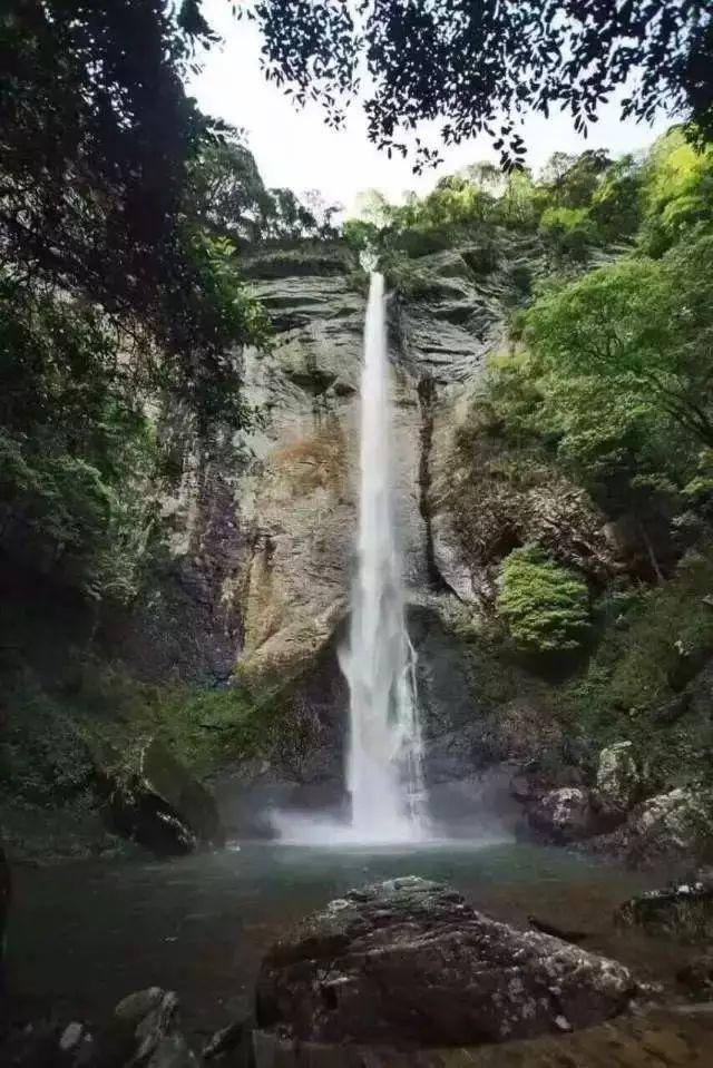 断保应该怎样补缴游戏画面